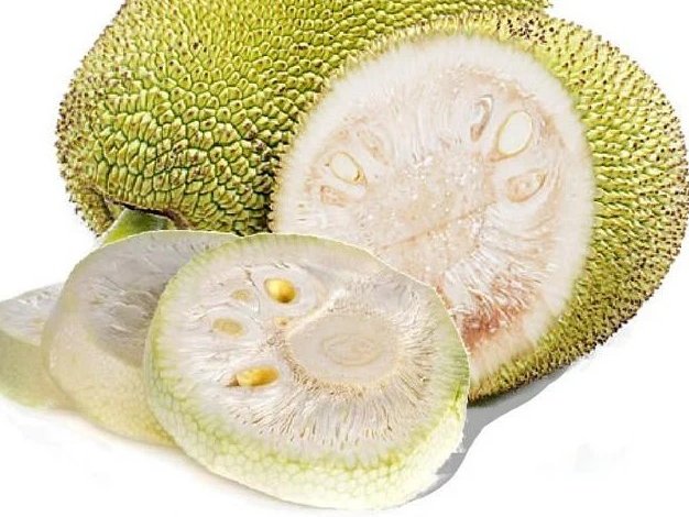 Vegetable Jackfruit