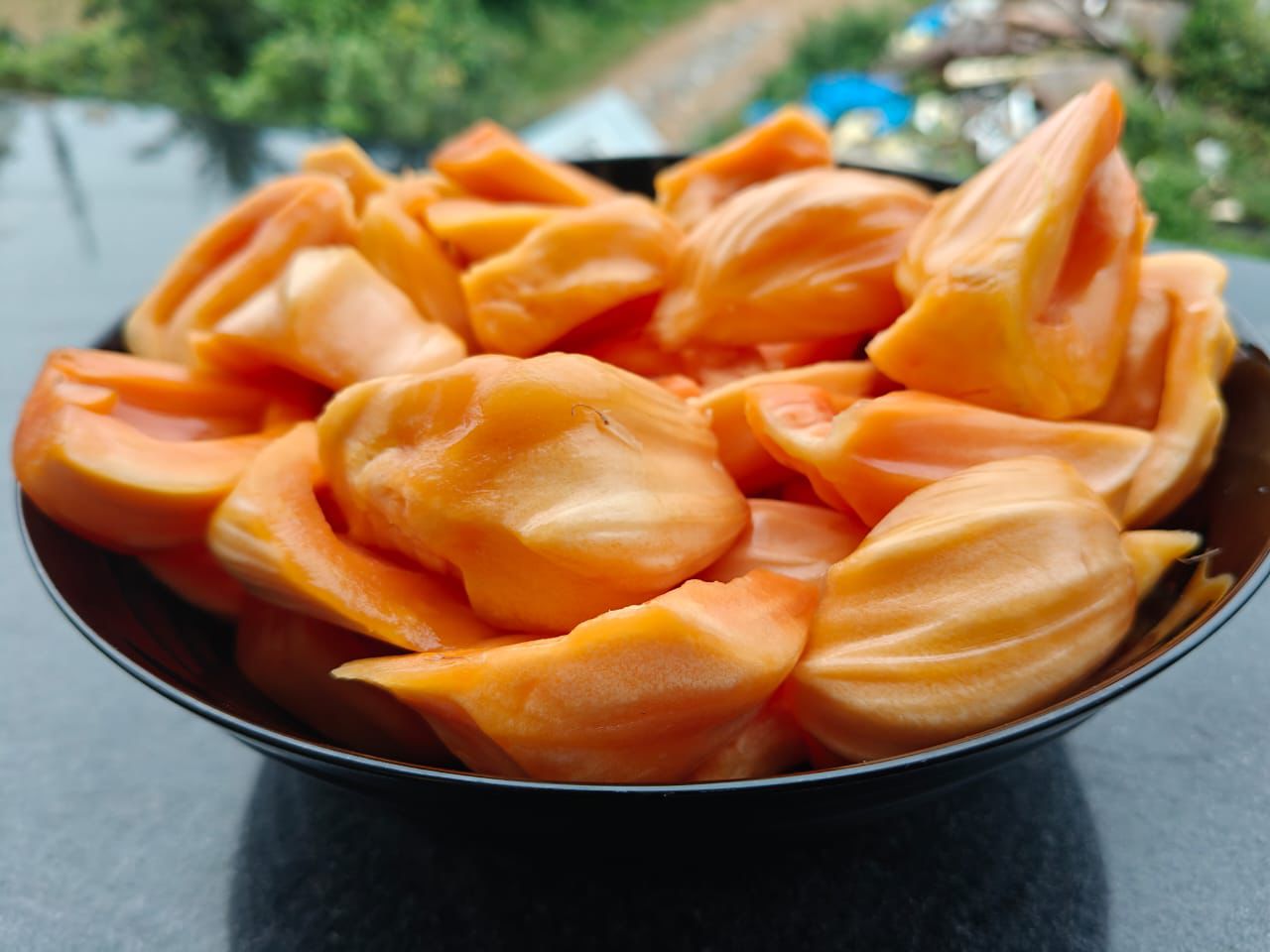 IIHR Jackfruit